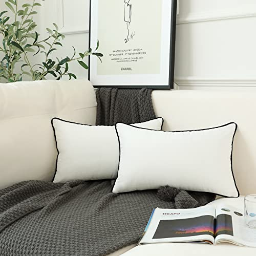 LIGICKY 2er Set Luxus Dekorative Kissenbezug Samt Weich Zierkissenbezüge Einfacher Rechteckiges Lendenkissen Kissenbezüge Deko Sofakissen für Wohnzimmer Couch Schlafzimmer Auto, Weiß 30 x 50 cm