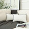 LIGICKY 2er Set Luxus Dekorative Kissenbezug Samt Weich Zierkissenbezüge Einfacher Rechteckiges Lendenkissen Kissenbezüge Deko Sofakissen für Wohnzimmer Couch Schlafzimmer Auto, Weiß 30 x 50 cm
