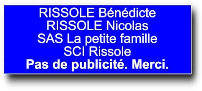 Plaque Boite aux Lettres Personnalisable - 12x5 cm - 1 à 6 Lignes - Etiquette Boite aux Lettres - Sonnette - Porte - Autocollant - Plaques avec Nom - Gravée (Bleue)