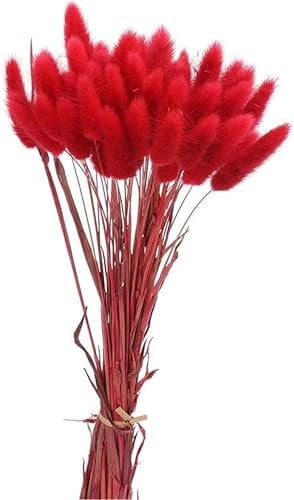 Pampasgras Trockenblumen 50 Stück Elegantes Pampasgras Deko Natürlich Blumenstrauß Flauschiges Getrocknete Blumen Herbst Boho Deko für Hochzeit Büro Schlafzimmer Wohnzimme (Rot)
