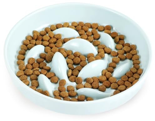 PETTOM Gamelle Anti Glouton Chat Céramique Anti Vomissement, Bol Plat pour Chat Manger Lentement -Vert