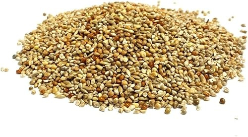 1.5kg Quail Seed Mixed Cage Bird Food XLJ
