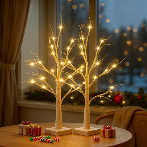 SALCAR LED Lichterbaum Innen, 2PC 60cm Birke Baum Lichter USB/Batteriebetrieben, 24 Warmweiß LEDs Baumbeleuchtung Weihnachtsdeko für Zuhause Party Geburtstag Hochzeit Innendekoration