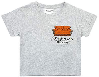 Friends Girls Cropped T-Shirt Embroidered Central Perk Couch Iconic Series Kids Grey Top 11-12 Years