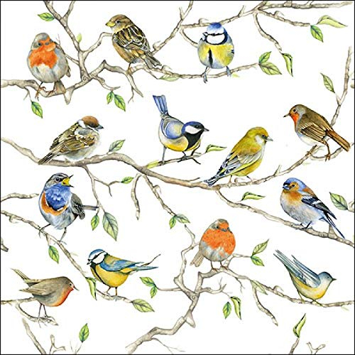 20 St. Lunch Servietten Birds Meeting Vogeltreffen Tischdeko Serviettendeko Vogel Vögel Zweige Meise Rotkehlchen Natural Living Frühling Sommer