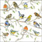 20 St. Lunch Servietten Birds Meeting Vogeltreffen Tischdeko Serviettendeko Vogel Vögel Zweige Meise Rotkehlchen Natural Living Frühling Sommer