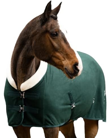 EQUILYX® Abschwitzdecke Pferd mit Teddy-Kragen und abnehmbaren Kreuzgurten [perfekte Passform] Fleecedecke Stalldecke Transportdecke wärmend feuchtigkeitsabsorbierend atmungsaktiv (Opalgrün, 155cm)