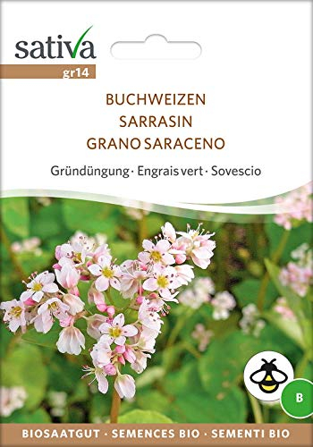 Sativa Rheinau gr14 Gründüngung Buchweizen (Bio-Gründünger)