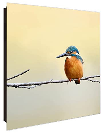 banjado® Großer Schlüsselkasten Glas/Schlüsselbox 30cm x 30cm mit 50 Haken - Motiv Pause/Schlüsselkasten modern für Schlüsselaufbewahrung mit beschreibbarer, magnetischer Glastür