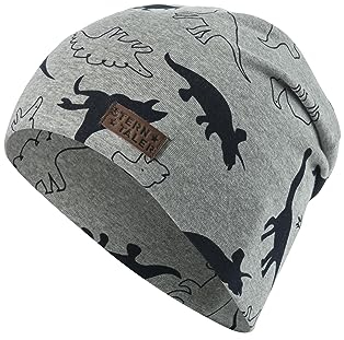 Sterntaler Baby-Jungen Slouch-Beanie Dino2 Mütze, Silber, 53