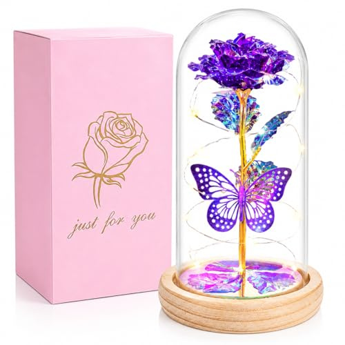 StowBin QUNPON Mothers Day Flowers Gifts From Daughter Son, Birthday for Women Her, Mum Grandma Nanny, Beauty and the Beast Rose in Glass Dome, Forever Artificial