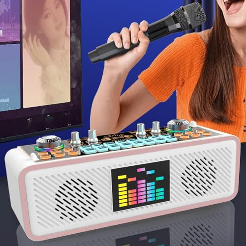 Kit Scheda Audio, con 2 Microfoni, Altoparlante Stereo Doppio Full Range, Cancellazione del Rumore, Regolazione Tono e tonalità, Trasferimento OTG, per Registrazione Karaoke