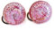 VENEZIA CLASSICA - Orecchini da Donna in Vetro di Murano Originale con foglia in argento, modello Cabochon, chiusura a Clip, Made In Italy certificato (rosa)
