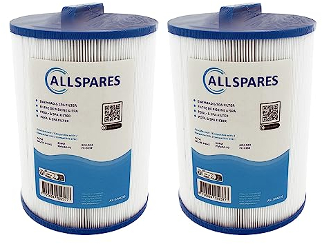 AllSpares Filtre pour Spa (2X) adapté pour SC714 / 60401 / 6CH-940 / PWW50P3 / FC-0359/817-0050/378902 (Ø150x210mm)