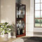 Belleze Kurio-Schrank mit Beleuchtung aus gehärtetem Glas mit Einlegeböden, 2 Farben (Kirsche und Walnuss) Woody Curio Kabinett walnuss