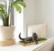 real grass cat bed, real grass window lounge bed for cats, real grass window perch for cats, window perch for small and large cats, seat bed for cats