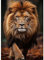 Lxmsja 5D Diamond Painting Löwe, Diamond Painting Tiere Erwachsene, Löwe Diamant Painting Bilder Erwachsene, Full DIY Diamant Kunst Malerei Stickerei Set Kreuzstich Bilder Home Wand Dekor 30x40cm