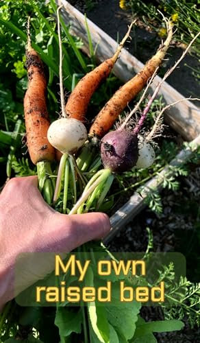 My Own Raised Bed: Whether balcony or garden - plant your own vegetables in the practical raised bed - the compact adviser for beginners