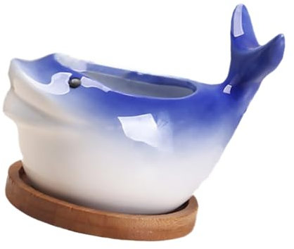 OFFSCH Cute Ceramic Plant Pots Ocean Series for Succulent Bonsai Indoor Gardening Decor