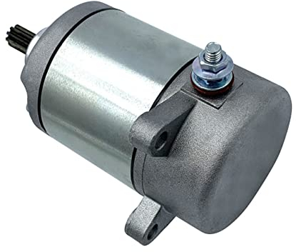 Motorrad Starter Motorfiets Startmotor für All-Terrain Fahrzeug TRX 250 TRX250X ATV Motor