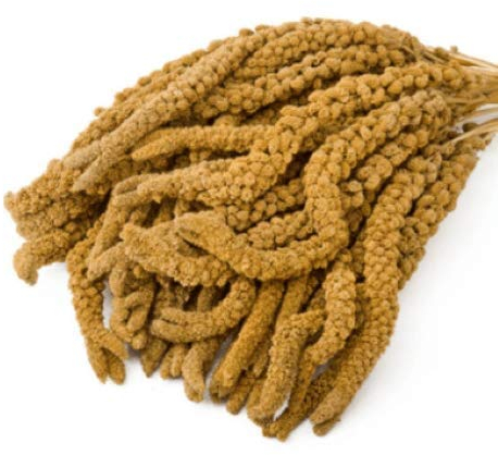 Eurital französische Kolbenhirse 2 kg gelb -handverlesen - für Kanarien, Wellensittiche, Vögel