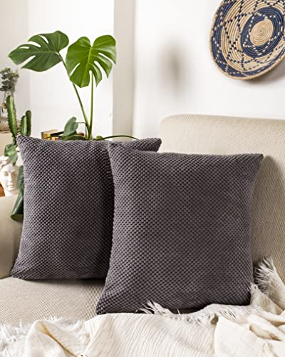 Gräfenstayn 2er-Set Cord-Samt Kissenbezug 40x40 cm - Öko TEX Standard 100 - weiche Deko-Kissenbezüge mit verdecktem Reißverschluss für Sofa und Bett (anthrazit - kleines Muster)