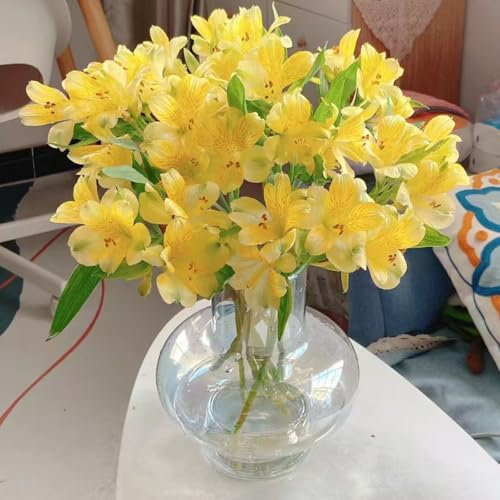 alstroemeria samen steingartenpflanzen winterhart - Seltene Pflanzenserie - bonsai topf kräuter samen, balkonpflanzen winterhart, kräutergarten balkon pflanzen blumendeko 25pcs