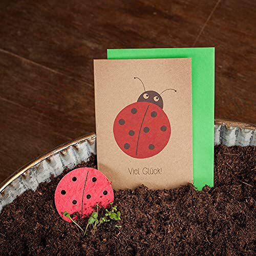 Die Stadtgärtner Grusskarte Viel Glück & Glückskäfer - Aus dem Maikäfer wachsen Blumen (handgeschöpftes Saatpapier) - Glückwunschkarte für viele Anlässe