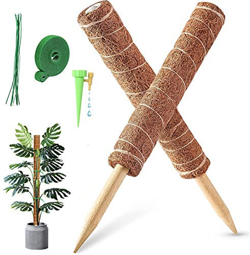 MABUSIYI Moss Pole, 2PCS 40CM Coir Moss Pole for Monstera & Cheese Plant, Plant Stands Indoor with 1 Plant Self Watering Spikes, 20 Cable Ties and 2M Garden Ties