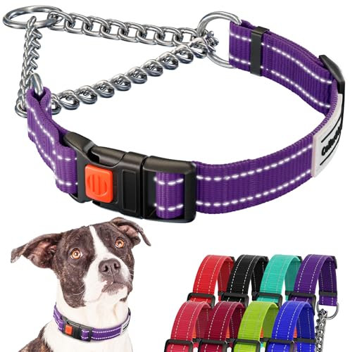 CollarDirect Reflektierendes Hundehalsband, Martingale-Halsbänder, seitliche Schnalle, Kette Training, verstellbare Haustier Halsbänder (Violett, L, 41-54 cm)