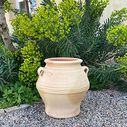 Palatina Werkstatt Terracotta Anfora Cassia 35 cm – 100% fatto a mano – Trasforma il tuo giardino o terrazza in un'oasi verde