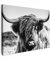 MuchoWow© Bild auf Leinwand 80x60 cm Schlafzimmer Bilder Schwarzweiss Wand Deko Wohnzimmer Modern Wanddeko Geschenk Kuh Leinwand - Schottisches Hochlandrind - Highland Cow - Hörner