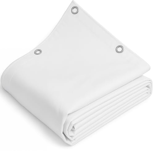 TELOMERITI® - Telo/Telone in PVC 650gr/mq con Occhielli in Alluminio, Rinforzato, tipo da camion, Impermeabile, Copritutto Da Esterno, Vari Colori, Made in Italy (Bianco, 6x8 Metri (48 MQ))