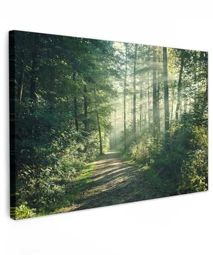 MuchoWow© Wandbilder 90x60 cm Schlafzimmer Home Deko Wohnung Bild Wohnzimmer Fotoleinwand Wand Bilder Leinwand Wall Decor Wald - Weg - Sonne - Bäume - Grün - Natur