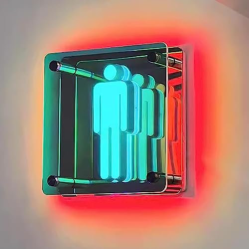 Plug Powered Neon Lights Signs, Toilet LED Neon Letters Sign, Luminous Restroom Logo Light Box Indicator, for Shop Toilet Entrance Hanging Signboard