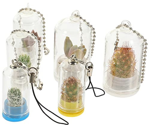 Milisten Lot De 6 Vases Miniatures en Verre Transparent 2,5-6 Cm pour Porte-clés, Support De Propagation Et Décorations Végétales, Accessoire Jardinage Portable pour Micro-Plantes Succulentes