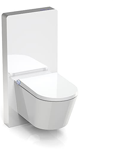 WC-Komplettpaket 36: DUSCH-WC Basic 1102 & Sanitärmodul 805S Weiß mit Sensor