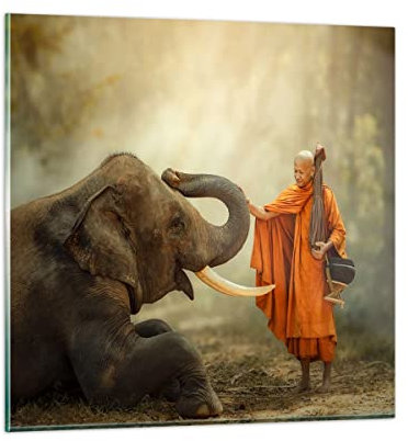 ARTTOR Bilder auf Glas Elefant Mönch Stoßzahn Glasbild 60x60cm Wandbilder Dekoration Wohnzimmer Schlafzimmer Küche Deko Groß Wanddeko Bild im Glas Wand Kunstdruck Art Modern Wall Decor GAC60x60-3484