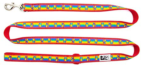 RC Pets Hundeleine, 1,27 cm x 1,83 m, Regenbogenpfoten