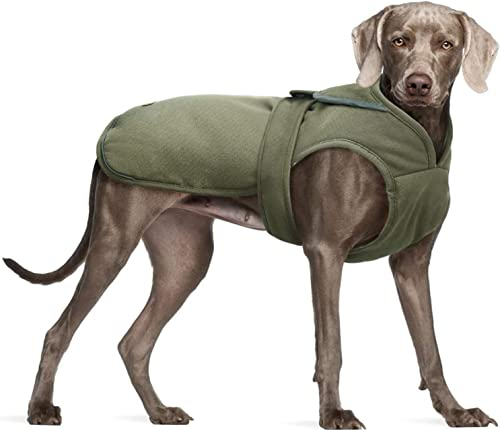Kuoser Wasserdicht Hundemantel Hundejacke für Kleine Mittelgroße Hunde, Reflektierende Leinwand Wintermantel Große Hund Mantel Welpen Fleecejacke Wintermantel Hundeweste mit Gurtloch, XXL Grün