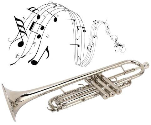 Hamwesh BB -Trompete, Standard -Messing Trompete mit Versilbertem Mundstück für Anfänger Erwachsene, Heller Ton Voller Klang Einfaches Spiel