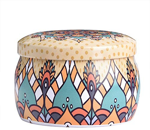 Caja de almacenamiento de hojalata, recipiente de latas de metal con tapa, caja de cocina para el hogar para té, café, dulces, regalo de joyería(F)