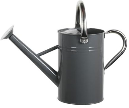 Gralara【Nouveau départ à l'été 2025】 5L Arrosoir en Fer, Arrosoir Polyvalent avec Tête Détachable, Arrosage avec Poignée Ergonomique, Idéal pour Balcons et Jardins Familiaux, Gris