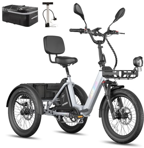 Fafrees F20 Mate E Bike Dreirad für Senioren Erwachsene 25AH 48V [ Offiziell ] Herren Damen Pedelec, Elektrofahrrad 3 Rad 65N.m, Elektro Dreirad 20 Zoll, Ebike Lastenfahrrad Fahrrad 180kg