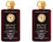 Academie 2x Bronz Express Lotion - getönte Selbstbräunungslotion für Gesicht & Körper, 100 ml (2er Pack), Naturbraune Haut ohne Sonnenexposition