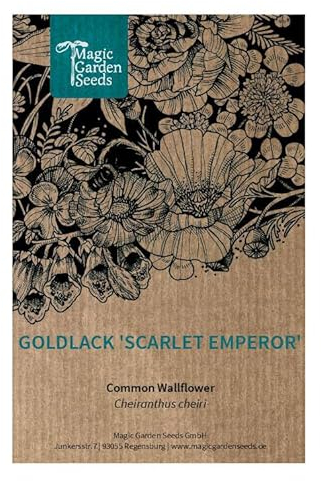 Goldlack 'Scarlet Emperor' (Erysimum cheiri) 60 Samen Frühlingsblüher zweijährige Staude im Bauerngarten Schnittblume Duftpflanze