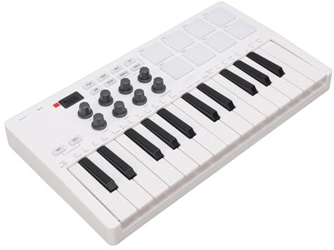 Eujgoov Professioneller 25-Tasten-MIDI-Keyboard-Controller mit 8 Zuweisbaren Knöpfen, USB-Konnektivität für Studioaufnahmen, Live-Auftritte, Schwarz