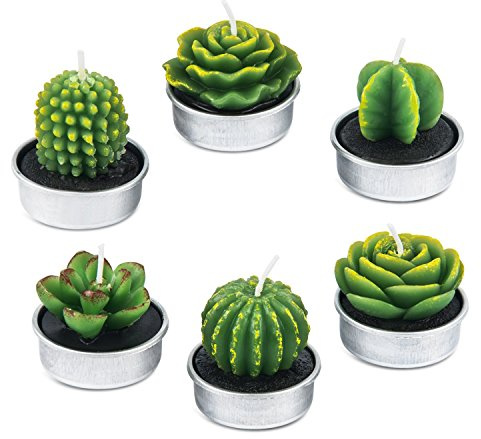 amasky Kerze, Stück: 6 - Dekorative Kaktus-Kerze, Unparfümiert, Indoor, 12er Pack