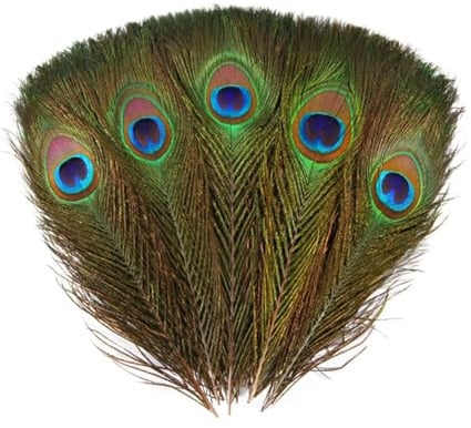 Wisafory 25 Stück Künstliche Pfauenfedern zum Basteln Natürliche Pfau Schwanzfedern Deko mit Augen Federn Bastelfeder für DIY Craft Hüte Kostüm Hochzeit Party Heimdekoration 25-30cm