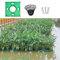 Pflanzkorb Teich Schwimmend Garten Teich Schwimmende Pflanzgefäßkörbe, Kit, Schwimmende Pflanzinsel im Freien, Grüne Sämlingstöpfe für Terrasse / Wasserbereich Greening / Flussmanagement ( Color : Pla